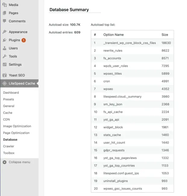 Autoload entries seen in the LiteSpeed Cache plugin