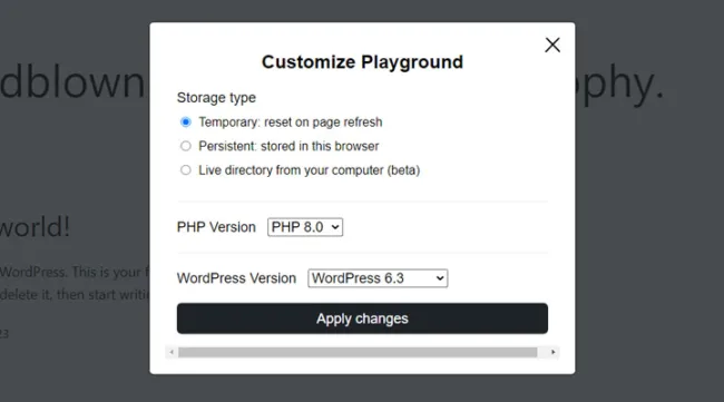 WordPress-Playground-customisation-options